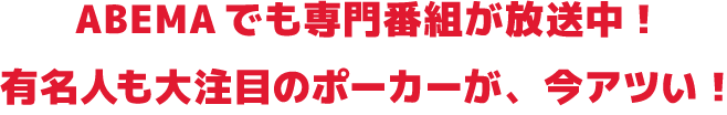 メインテキスト2